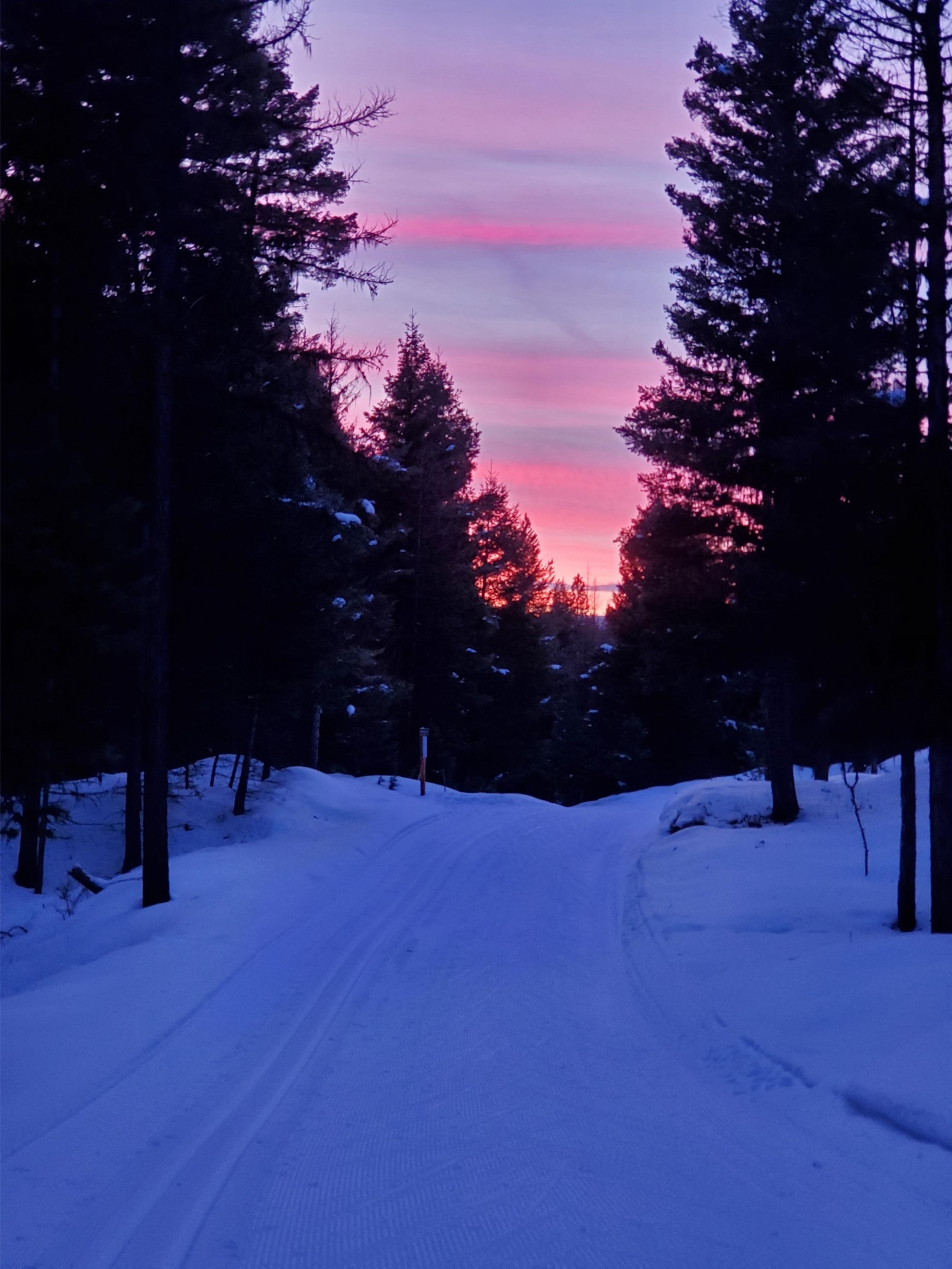 Seeley Lake Nordic ski trail at sunset