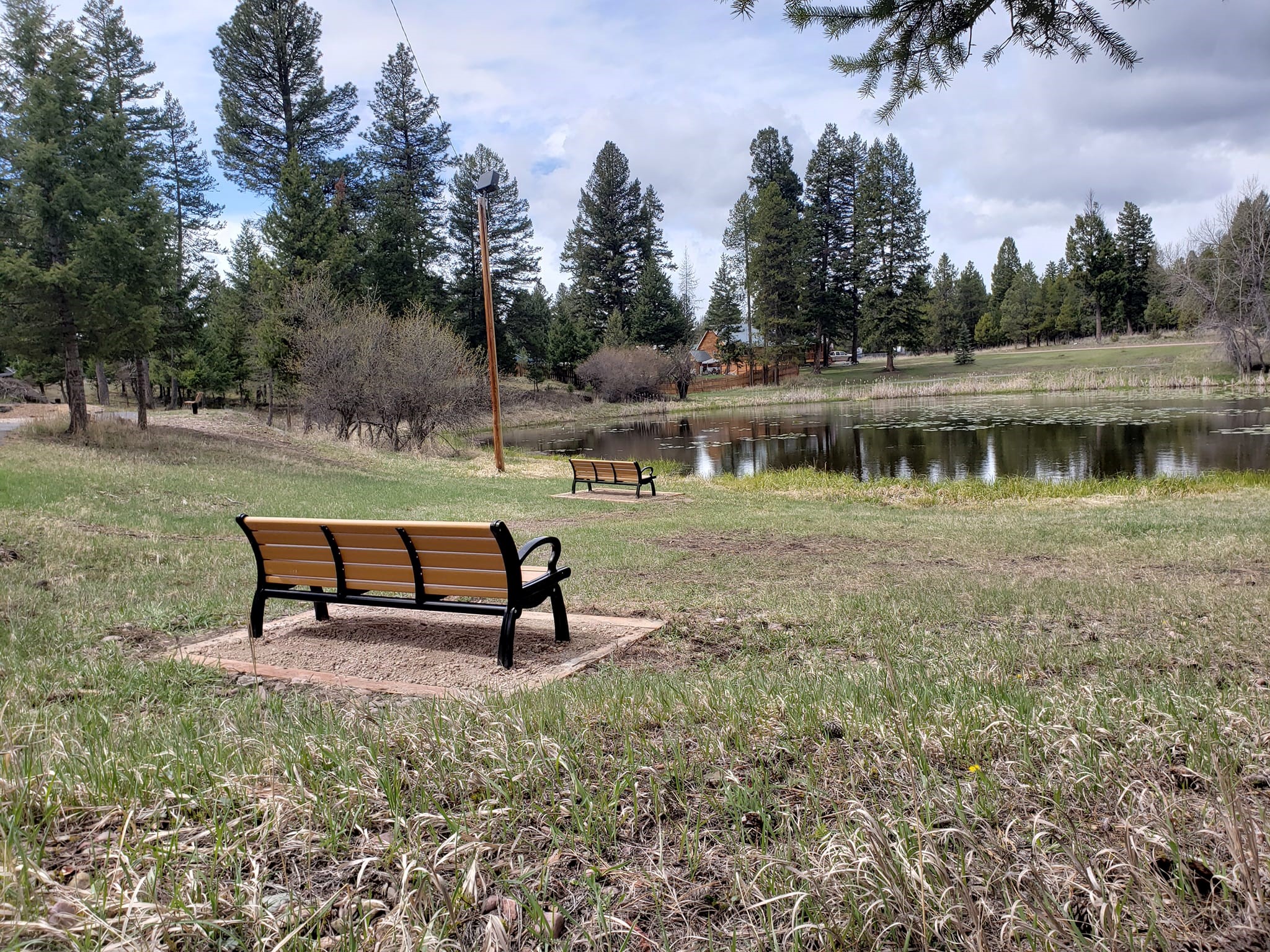Seeley Lake Lions Bench
