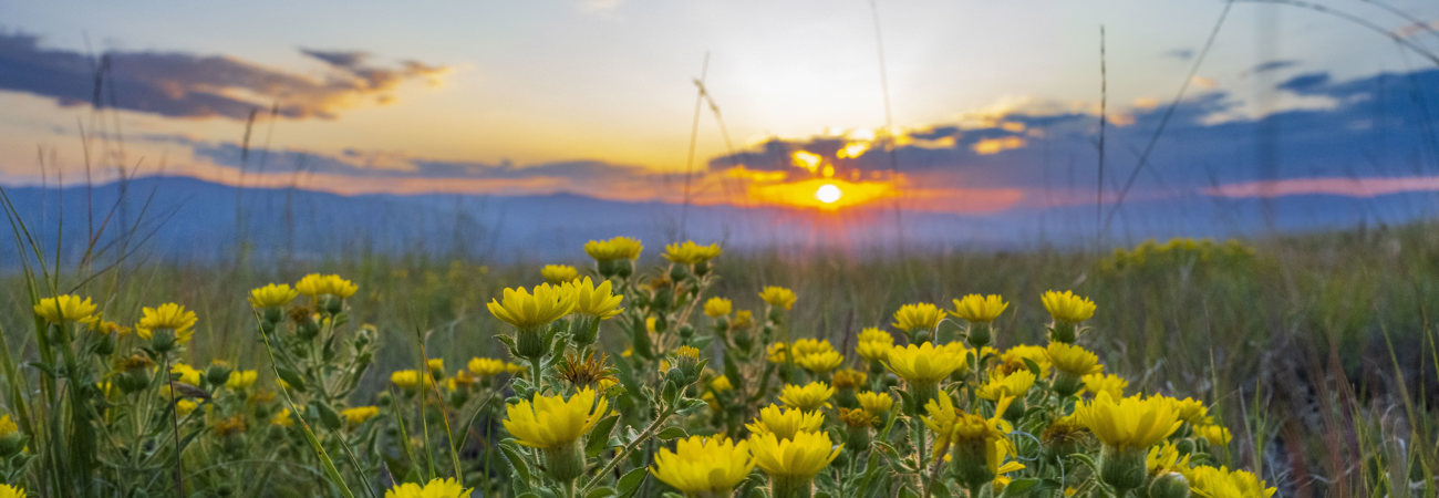 Summer Sunset From Barmeyer Trailhead (10)