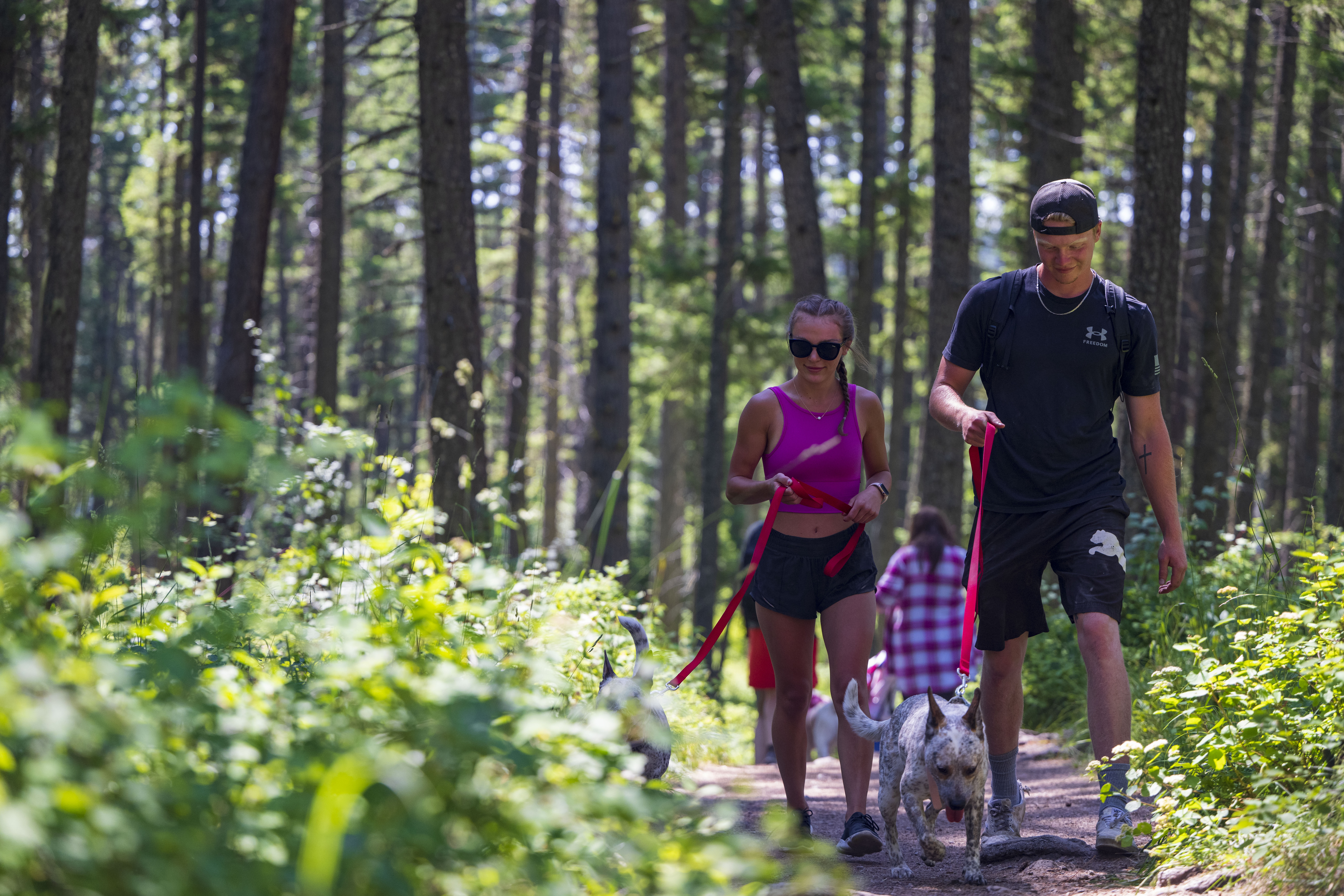Hikers walking their dogs at Holland Lake