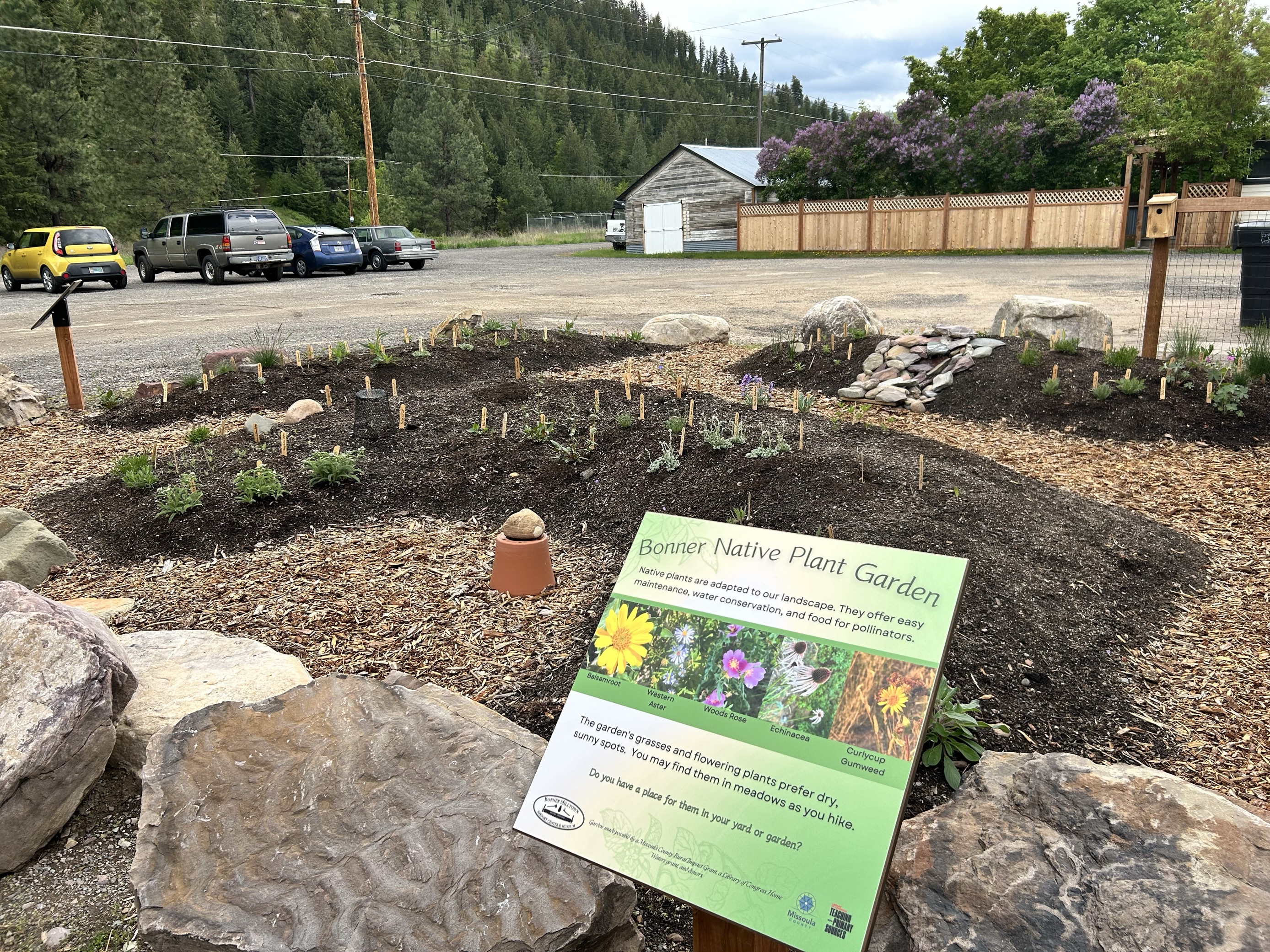 Bonner Native Plant Garden 2025 Rural Grant Project Winner
